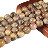 ABCGEMS Sonora Orbicular Rhyolite Beads from Mexico AKA Venus Jasper (Gorgeous Matrix Resemblance to Planet Venus) Beading Suppl