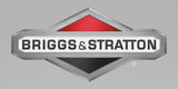 Briggs & Stratton 595318 Carburetor Genuine Original Equipment Manufacturer (OEM) Part