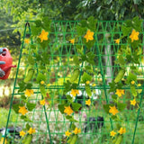 Enakshi Cucumber Trellis Portable Plant Stakes For Climbing Plants Raised Bed Fruits 90 Cmx90 Cm|Home & Garden | Yard, Garden &