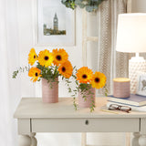 Dii Kitchen Accessories Collection, Textured Matte Ceramic Canister Set, Pale Mauve, Vine, 3 Piece