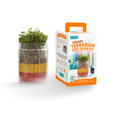 Back to the Roots Organic Kids Terrarium grow Kit EasytoUse DIY Set for All Ages Small