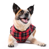 Goldpaw Duluth Double Fleece Dog Sweater Vest for Small Dogs - Soft, Stretchy Dog Fleece - Warm Pet Jacket for Fall and Winter - Premium Pet Outerwear - Machine Washable - Red Tartan/Black - Size 10