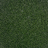 Miyuki Delica 11/0 Seed Beads - Glass Beads Bulk 5 Grams & Size 1.6mm 1000 Pieces Glass Seed Beads Forest Green (DB663)