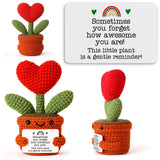 Handmade Crochet Emotional Heart Gift for Birthday - Encouraging Desk Ornament for Women and Long Distance Partner, Perfect for