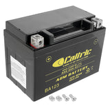 Caltric Agm Battery Compatible with Honda Trx300Ex Trx300X Trx-300X Sportrax 300 2X4 1993-2008 2009