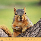 Erosebridal Squirrel Fabric by The Yard,3D Print Cute Squrrirel Waterproof Outdoor Fabric for Kids Boys Girls DIY Art Wild Anima