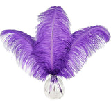 Happy Feather 16-18 inch Purple Ostrich Feathers Craft for Wedding Party Centerpieces Home Decoration DIY Craft Pack of 10