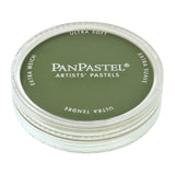 PanPastel 26603 Ultra Soft Artist Pastel, Chromium Oxide Green Shade, 660.3