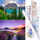 BAISITE Paint by Numbers Kit for Adults Beginners,12 Wx16 L 2 Pack Canvas for Painting Kits for Adults in Colorful Box-PBN271-27