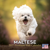 Maltese Calendar 2027 by MegaCalendars - Monthly Dog Breed Wall Calendar, Made in USA