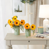 Dii Kitchen Accessories Collection, Textured Matte Ceramic Canister Set, Jadeite, Vine, 3 Piece