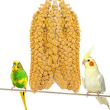 Fhiny Millet Spray for Birds, 2.2LB Natural Sun-Dried Millet for Birds Original Parakeet Food & Treats Spray for Parakeets Parro