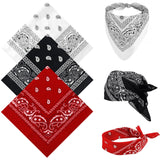 Qufiiry 3 Pcs Paisley Bandana,Multifunctional Headbands,Premium Stylish & Versatile Bandana,Unisex Paisley Bandanas For Cycling
