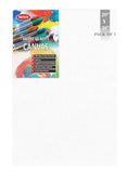 Variety Canvas 20 X 30 Inch Cotton Canvas Board For Painting, Pack Of 1 Piece - White