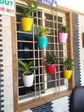 Cappl Self Watering Hanging Planter Flower Pot (Multi, Set Of 5)