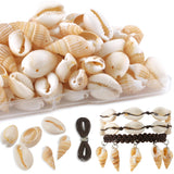 DoDoBeads 120 Pcs Assorted Seashells for Crafts & Jewelry - Mixed Ocean Beach Shells with Holes, Perfect for Adorning Hair, Lock