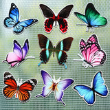 18 Pieces Butterfly Screen Door Magnets Screen Magnets for Screen Door Double Sided Decorative Magnetic Flexible Protector Saver