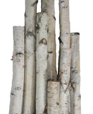 Wilson White Birch Pole Pack (X-Large) Set of Birch Poles 1.5-2.5 inch Diameter x 6, 7, and 8 feet Tall