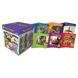 Junior Learning Letters & Sounds Set 2 NonFiction Boxed Set