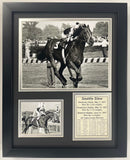 Legends Never Die Championsip Racehorse Collectible Memorabilia | Triple Crown Racehorses | Framed Photo Collages | 12x15 (Sea