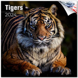 2023 2024 Tigers Calendar African Wildlife Monthly Wall Calendar 12 x 24 Open Thick NoBleed Paper Giftable Academic T