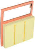 WIX WA10036 Air Filter