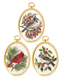 Janlynn Winter Birds Cross Stitch Supplies, MultiColored