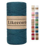 Likeecords 100% Cotton Crochet Bag Cord 2mm 170m Macrame Cord 2mm Crochet Thread Macrame Rope Gift for Knitter (Teal)