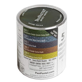 PanPastel 30056 Ultra Soft Artist Pastel 5 Color Set Starter Set Extra Dark Shades w/Sofft Tools
