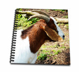 3dRose db_218797_1 A Goat Upclose is a Close Up Shot of Brown and White Goat Drawing Book, 8 by 8