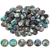 BENECREAT 90PCS Natural Abalone Shell Coin 8mm 10mm Flat Round Paua Shell Cabochons Beads with Storage Containers for Photo Fram