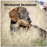2023 2024 Wirehaired Dachshund Calendar Dog Breed Monthly Wall Calendar 12 x 24 Open Thick NoBleed Paper Giftable Aca