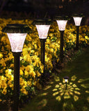 LAMTREE Solar Pathway Lights,6 Pack Solar Lights Outdoor Waterproof,Outdoor Solar Lights for Yard,Lawn,Patios, Garden,Landscape,