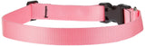 Dog Collar16-28Adj Pink (Pack Of 1)