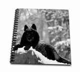 3dRose db_100280_1 Rocky Mountain Wolf, Black White Drawing Book, 8 by 8Inch