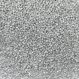 LEECOON 2mm Silver Color Seed Beads,100grams About 8800pcs Size 12/0 Small Seed Beads for Making Necklace Bracelet Earring