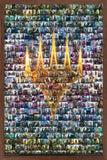 Trends International Magic: The Gathering - Collage Wall Poster, 14.725 x 22.375, Mahogany Framed Version