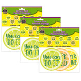 (3 PK) LEMON ZEST POSITIVE SAYING