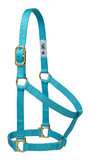Weaver Leather Basic Non-Adjustable Nylon Horse Halter, Turquoise, 1 Small Horse