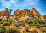 BELECO 12x8ft Fabric Desert Backdrop Joshua Tree National Park Photography Backdrop Odd Trees Rocky Mountains Natural Scenery Ho