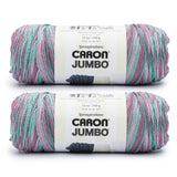 Caron Jumbo Russian Sage Yarn - 2 Pack of 12oz/340g - Acrylic - #4 Worsted (Medium) - 595 Yards - Knitting & Crochet