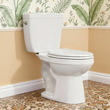 ABath 17.5 Tall Toilet Elongated with Soft Close Seat & 360 TSUNAMI Flush 1 GPF, WaterSense/1000g Map Certified, NANO CLEAN Cera