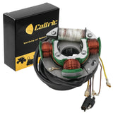 Caltric Stator Compatible With Polaris Trail Boss 250 1994 1995 1996 1997 1998 1999