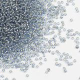 Tibaoffy Transparent Light Gray with Silver Lined Beads Size 8/0 Crafts Glass Seed Beads 3mm for Jewelry Making (Total About 100