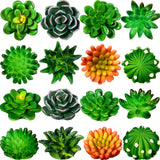 16 Pieces Cactus Succulent Refrigerator Magnets 3D Resin Fridge Magnets Mini Plant Decorative Stickers for Whiteboard Locker Off