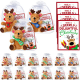 Silipull 18 Pcs Hero Themed Party Favors Hero Themed Stuffed Animal Bears with Tie Dye Card Back to School Gifts for Student Sma