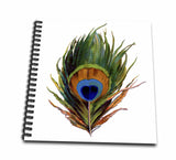 3dRose db_37447_1 Large Colorful Peacock FeatherDrawing Book, 8 by 8Inch
