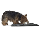 Furhaven 24 x 18 Highly Absorbent Dog Door Mat for Muddy Paws, 100% Washable, Perfect for Entryway, Kitchen, & Bathroom Use - Ch