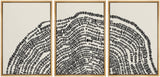 SIGNLEADER Framed Canvas Print Wall Art Set Duotone Geometric Wood Tree Ring Collage Abstract Shapes Illustrations Modern Art Boho Decorative for Living Room Bedroom Office - 16 x24 x3 NATURAL-New