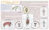 Frey Scientific Laminated Dissection Mat, .02 Mil Thick, Fetal Pig Anatomy Print